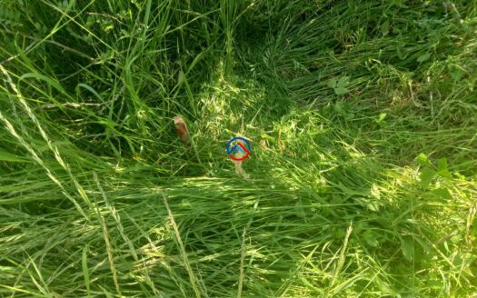 Prodej pozemku Suchdol u Konice