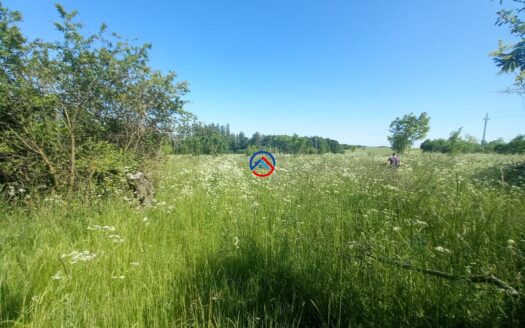 Prodej pozemku Suchdol u Konice