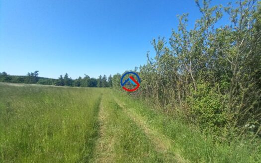 Prodej pozemku Suchdol u Konice