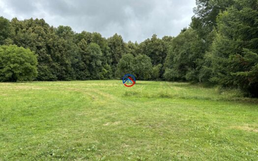 Prodej pozemku Loučná nad Desnou