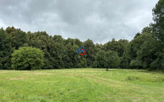 Prodej pozemku Loučná nad Desnou