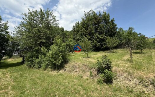 Prodej rodinného domu v obci Dlouhá Loučka, k.ú. Křivá