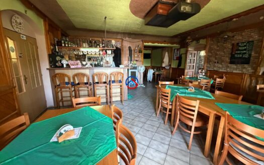 Pronájem zavedené restaurace Pomněnka, Rapotín